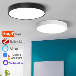 Zigbee Tuya Smart Led Ceiling Lamp Hue Chandelier Home Appliance Room Decor 2MQTT Alice Assistant Alexa Light Fixture